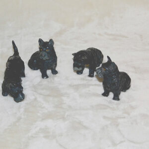 four german schnauzer dogs